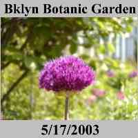 Brooklyn Botanical Garden - Brooklyn NYC