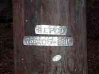 031127 Bethesda MD park telephone pole